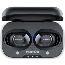 펜톤 바이버 무선 블루투스 5.3 이어폰, 블랙