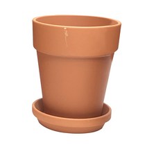 오리지널 선인장 화분 표준 + 받침대 d10