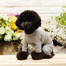 펫디자인 강아지 스포츠 올인원, 멜란지