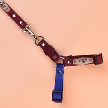 유독 글리터 Y형 강아지 하네스, 버건디 + 블루