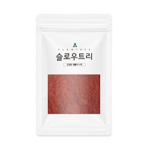 슬로우트리 오미자분말, 1개, 100g
