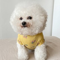 바이담수미 강아지 쁘앙체리 티셔츠, 머스타드