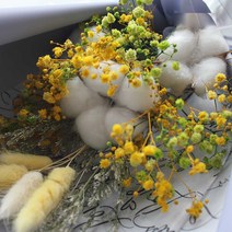 러블리리본 목화 세송이 프리저브드 꽃다발, 옐로우