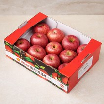 [정승골사과] 다조은 강원도 정선 당도선별 사과, 3kg(8~13입), 1박스