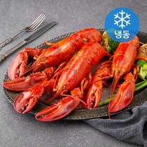 블루씨푸드 캐나다산 자숙 랍스터 알뜰 3미 (냉동), 1.05kg, 1개