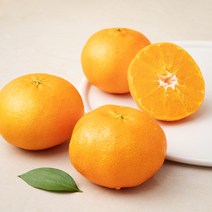 아주마 효소로키운 제주 레드향 10~15과, 2.5kg, 1개