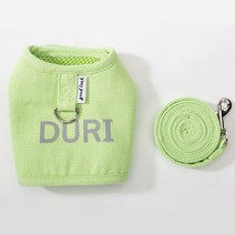 로커스 고양이 옷 리드줄 세트, 그린