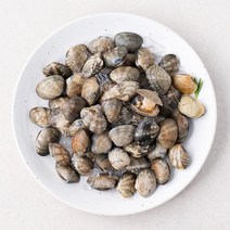 살맛나요 서해안 갯벌 참바지락 (냉장), 600g, 1개