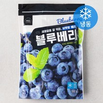 미국산 냉동 블루베리, 500g, 1팩