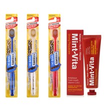 EBISU 프리미엄케어 6열 광폭헤드 칫솔 랜덤발송 3p + 민트비타치약 스트롱 120g, 1세트