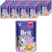 브리트 캣 프리미엄 파우치 습식사료 젤리 치킨, 85g, 12개