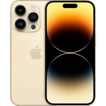 Apple 정품 아이폰 14 Pro Max 자급제, 골드, 128GB