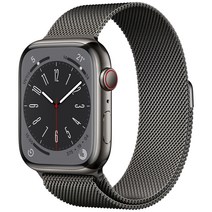 Apple 애플워치 8, 45mm, GPS+Cellular, 스테인리스, 그래파이트 / 그래파이트 밀레니즈 루프, 그래파이트(케이스) + 그래파이트(루프)