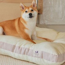 히즈독 반려동물 풍기인견 방석 커버분리형, 쿨크림