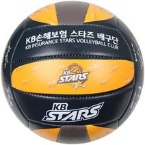 2020~21 KB손해보험 사인 배구공 완성형