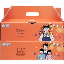 푸릇담 젊은농부 도라지배즙, 100ml, 60포