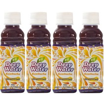 테일러 푸룬 딥워터 콤부차, 4개, 180ml