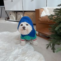 바이담수미 강아지 비비드 바라클라바, 블루