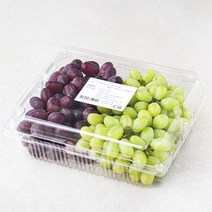 다조은 칠레산 씨없는 혼합포도, 1.5kg, 1팩
