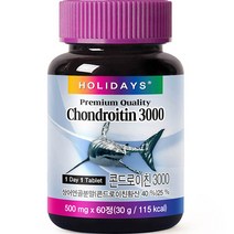 홀리데이즈 콘드로이친 3000 영양제 30g, 60정, 1개