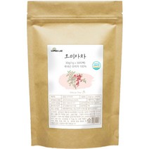 참랩 오미자 건강차 삼각티백, 30g, 1개