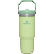 스탠리 아이스플로우 플립 스트로 텀블러, 시트론, 887ml, 1개