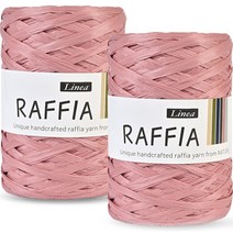 니뜨 라피아 뜨개실 40g, 405 인디핑크, 2개