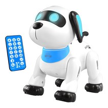 JJRC AI 로봇 캐디윌