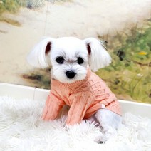 블랙스완 반려동물 스웨터, 핑크