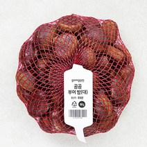 곰곰 부여 밤(대), 900g, 1개