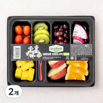 All바른농장 새콤달콤 과일도시락 One, 2개, 500g