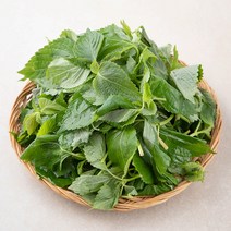 국내산 깻순, 170g, 1봉