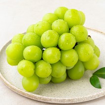 곰곰 고당도 김천 샤인머스캣, 500g, 1봉
