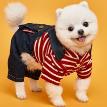 도그아이 강아지옷 포켓멜빵 올인원, 레드