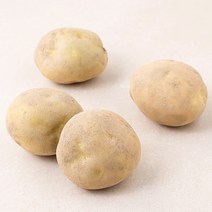 곰곰 감자, 500g, 1개