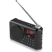 브리츠 휴대용 블루투스 FM라디오 스피커, BZ-LV990, 블랙