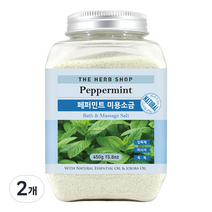 더허브샵 페퍼민트 미용소금, 450g, 2개