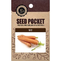 월드가드닝 행복한 텃밭 좋은 씨앗 당근씨 2000개, 1세트