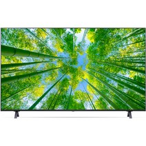 LG전자 4K 울트라 HD LED TV 55UQ8300ENF, 138cm(55인치), 벽걸이형, 방문설치