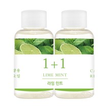 더허브샵 차량용 디퓨져 리필오일 50ml, 2개, 라임민트