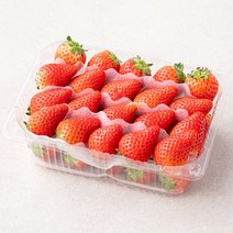 광식이농장 한입딸기, 500g, 1개