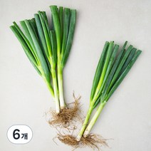 국내산 흙대파, 750g, 6개