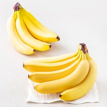 바나밸리 에콰도르산 바나나, 2개, 1.25kg