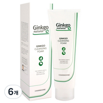 참존 징코 내츄럴 징코 클렌징 폼, 6개, 180ml