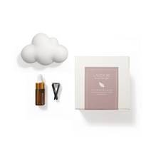라비다39 2D 몽글 구름 차량용 플라스터 오너먼트 석고방향제 + 차량용 클립 + 리필오일 3ml, 아카시아