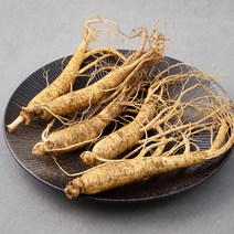 곰곰 농협 금산 인삼, 300g, 1팩