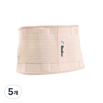 라디올 허리보호대 베이지 2XL RAW-301, 5개