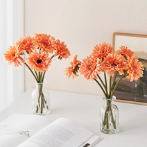 코코도르 조화 거베라 12p + 메리고 화병 2p 세트, 리빙코랄(거베라), 투명(화병)