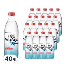 광동 아이스웨일 자몽 제로 탄산, 500ml, 40개