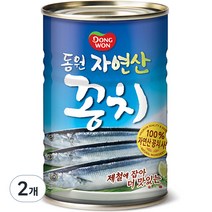 동원 자연산 꽁치, 400g, 2개